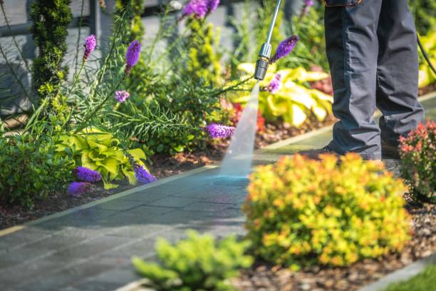 Best Winterizing Services  in Munday, TX